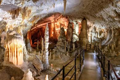 Da Capodistria: Grotte di Postumia e tour guidato di Lubiana