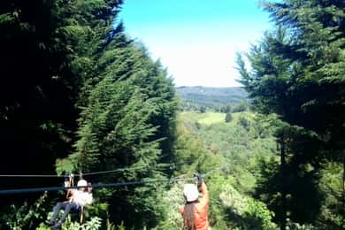 From Nairobi: Zipline Adventure Safari