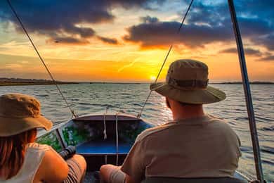 Day Trip from Victoria Falls: Chobe NP Land and River Safari