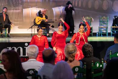 Estepona: Andalusisk Flamenco-show: Inträdesbiljett med dryck