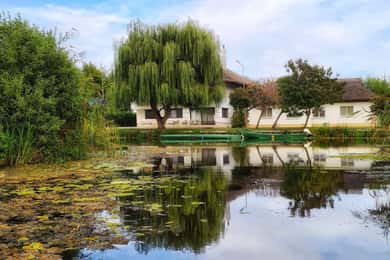 From Bucharest: Danube Delta Private Day Trip with Boat Tour