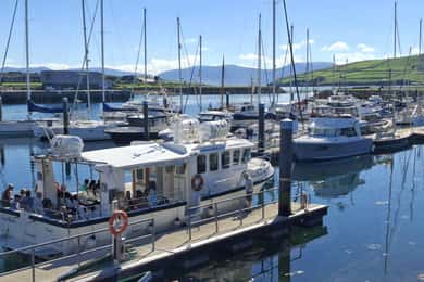 Dingle: Blasket Island Eco Tour with Wildlife Watching