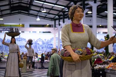 Setúbal: Private Walking Tour with Tastings