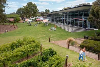 Barossa Valley: Taste & Graze Food and Wine Trail