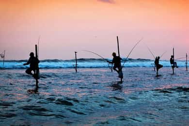 Galle Day Tour