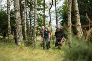 Bovec: raccolta di funghi e sessione culinaria