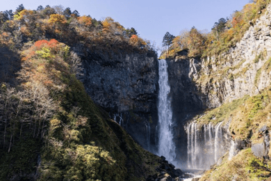 Da Tokyo: Tour privato personalizzato di Nikko di 1 giorno