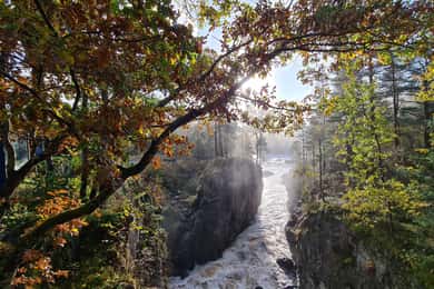 Kristiansand: Wild Salmon Center Guidad tur med busstur
