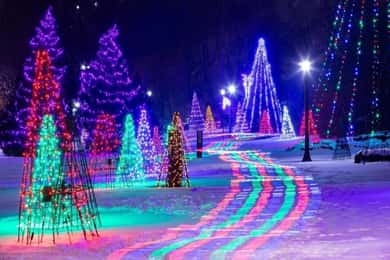 Desde Toronto: Excursión al Festival de Invierno de las Luces de las Cataratas del Niágara