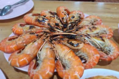 Ayutthaya: Iconic dinner & historical bicycle tour (2in1)