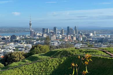 AUCKLAND: Halvdagstur med byrundvisning - Mt. Eden, Tamaki Dr.