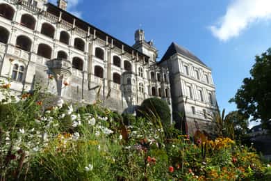 Private Tour of Blois Castle with Entry Tickets