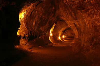 Big Island: Hawaii Volcanoes National Park and Hilo Tour