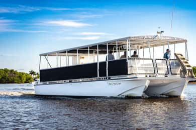 Everglades National Park: Pontoon Boat Tour & Boardwalk