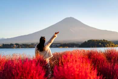 Vanuit Tokio: dagvullende privétour naar de berg Fuji, die je helemaal zelf kunt samenstellen
