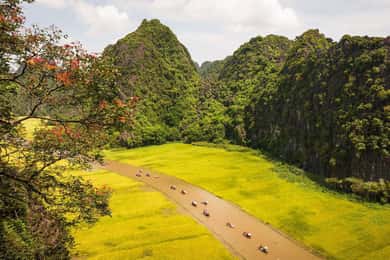 From Hanoi: Ninh Binh, Tam Coc and Mua Cave Trip with Lunch