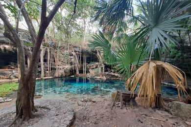 Discover the Serenity: A Tour of the Hidden Cenotes