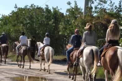 Groepsrit te paard op het eiland Holbox, Quintana Roo