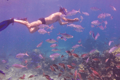 Catalina Island snorkeling Dominican Republic