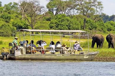 Chobe Day Trip (Botswana)