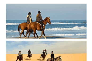 Doha: Cavallo arabo nel deserto o in riva al mare