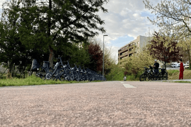 Rent-a-bike: Explore 40 km da antiga linha ferroviária do Tâmega