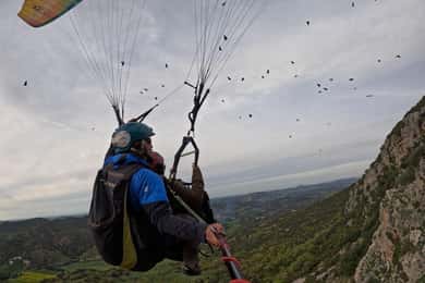 Paragliding: near Ronda (Málaga)