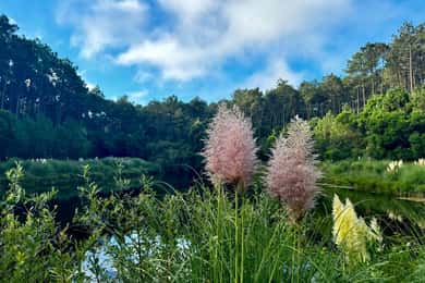 Desde Lisboa: Excursión de un día a las joyas ocultas de Sintra con picnic