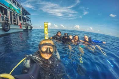 Koh Tao: PADI prøvedykning