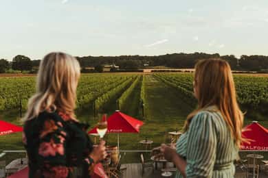 Kent: Balfour Vineyard Wanderung und Weinverkostung