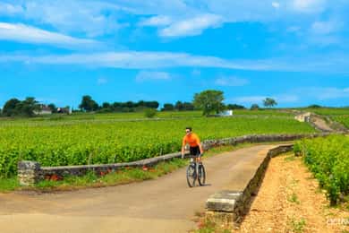 Beaune: Weinkeller Tour mit dem Fahrrad mit Weinverkostung