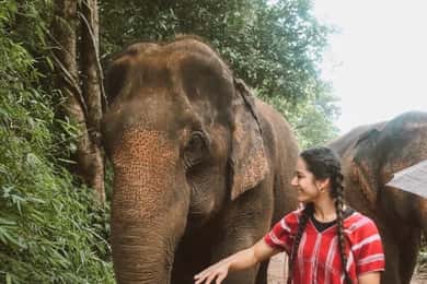 Private Day Trip Doi Inthanon, Trekking, Elephant Sanctuary