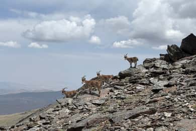 Från Granada: Vandring i höga Sierra Nevada