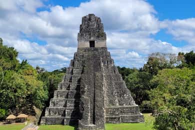 Vanuit Flores: Tikal VIP Exclusieve Culturele Tour Alles inclusief