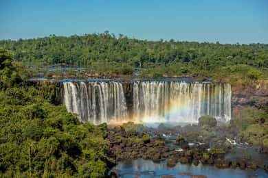 Guided Tour: Brazilian Falls and Bird Park
