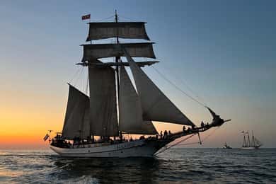 Hanse Sail Rostock: Cruise on Historic Tall Ship
