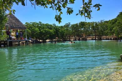 Rio Lagartos Expedition: boat journey through the mangrove