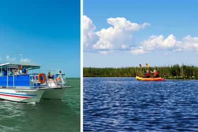 St. Augustine Wildlife Adventure: Boat Cruise & Kayak Tour