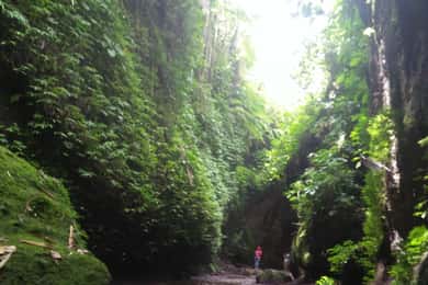 Bali: Tibumana, Tukad Cepung, Kanto Lampo, & Tegenungan Tour
