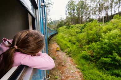 Sri Lanka Private 3-nights Tour Transport, Guide, Hotels