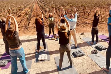 Пальма: QI GONG в BODEGAS BORDOY