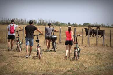 Aigues Mortes: safari en vélo - Recorrido en bicicleta eléctrica por la Camarga