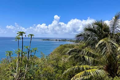 Tahiti: East or West coast tour (Half Day)