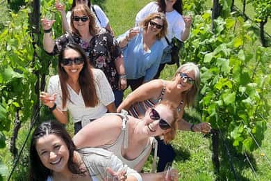 From Wellington: Martinborough Winery Tour