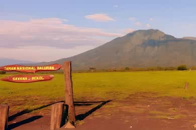 The Authentic Sunset Of Baluran National Park Banyuwangi