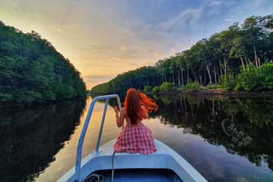 Sabah: Mangrove Fireflies og Sky Mirror Dream Beach Tour