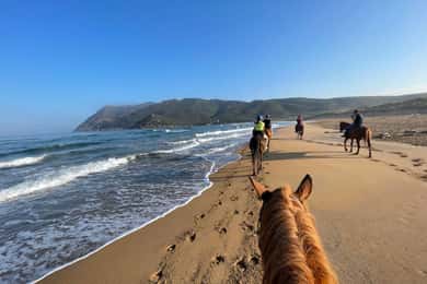 Horseback riding tour on Porto Ferro beach in Alghero
