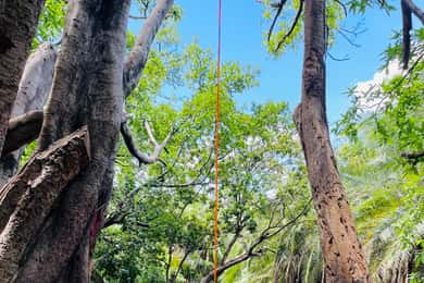Arusha: Materuni Waterfalls, Hot Springs and/or Coffee Tour