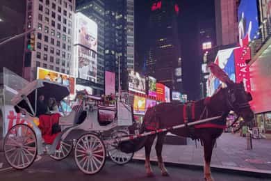 NYC: Giro in carrozza trainata da cavalli con le luci di Natale di Central Park