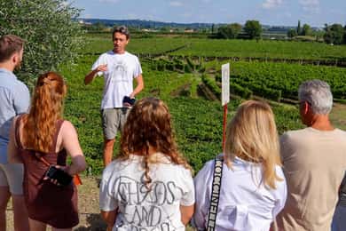 Winery Tour with Garda Wines and Food Tasting